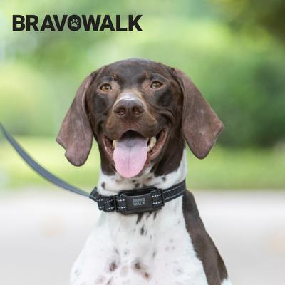 Show full view: BravoWalk Pro No-Pull Dog Training Collar, Black, Medium: 11 to 16-in neck, 3/4-in wide slide 4 of 12