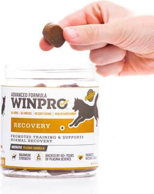 Show full view: WINPRO Pet Recovery Soft Chew Dog Supplement, 60 count slide 9 of 9