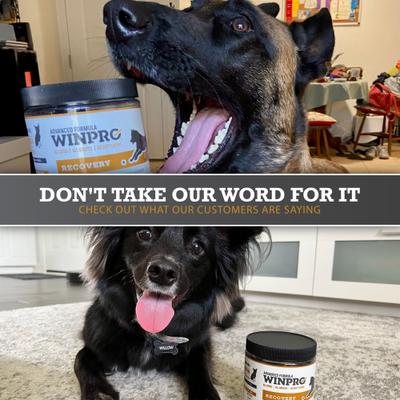 Show full view: WINPRO Pet Recovery Soft Chew Dog Supplement, 60 count slide 8 of 9