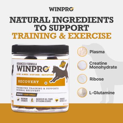 Show full view: WINPRO Pet Recovery Soft Chew Dog Supplement, 60 count slide 4 of 9