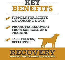 WINPRO Pet Recovery Soft Chew Dog Supplement, 60 count slide 2 of 8