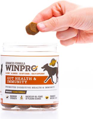 Show full view: WINPRO Pet Gut Health Soft Chew Dog Supplement, 60 count slide 10 of 11