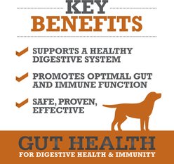 WINPRO Pet Gut Health Soft Chew Dog Supplement, 60 count slide 2 of 8