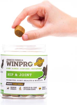 Show full view: WINPRO Pet Hip & Joint Soft Chews Dog Supplement, 60 count slide 10 of 11