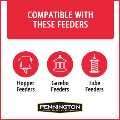 Show full view: Pennington Pride Birder's Blend Bird Food, 10-lb bag slide 4 of 10