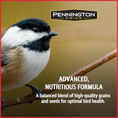 Show full view: Pennington Pride Birder's Blend Bird Food, 10-lb bag slide 3 of 10