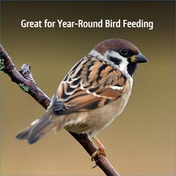 Pennington Select Chips & Bits Wild Bird Food, 15-lb bag slide 2 of 9