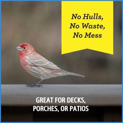 Show full view: Pennington Select Chips & Bits Wild Bird Food, 15-lb bag slide 6 of 12