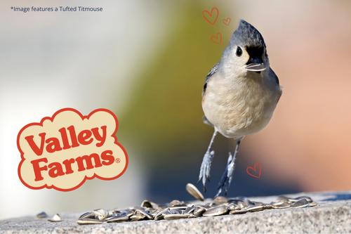 Show full view: Valley Farms Striped Sunflower Seed Wild Bird Food, 25-lb bag slide 9 of 9