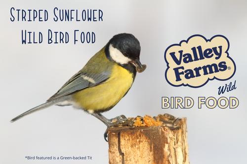 Show full view: Valley Farms Striped Sunflower Seed Wild Bird Food, 25-lb bag slide 7 of 9