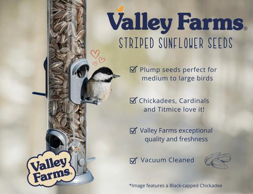 Show full view: Valley Farms Striped Sunflower Seed Wild Bird Food, 25-lb bag slide 5 of 9