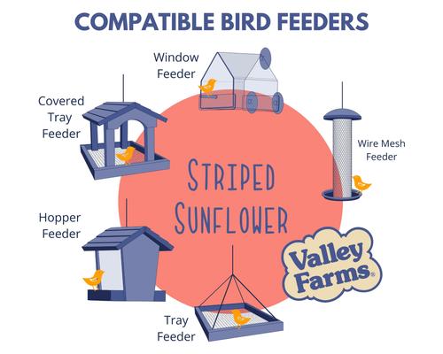 Show full view: Valley Farms Striped Sunflower Seed Wild Bird Food, 25-lb bag slide 4 of 9