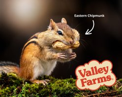 Valley Farms Squirrel & Wildlife Mix Food, 15-lb bag slide 2 of 9