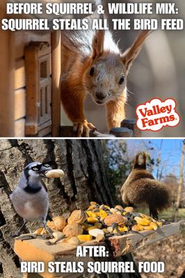 Show full view: Valley Farms Squirrel & Wildlife Mix Food, 15-lb bag slide 7 of 9