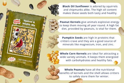 Show full view: Valley Farms Squirrel & Wildlife Mix Food, 15-lb bag slide 6 of 9