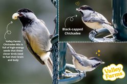 Valley Farms Chickadee Bird Food, 10-lb bag slide 2 of 9