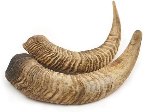 Show full view: EYS Herders Choice Chews Natural Air-Dried Goat Horn Dog Chew, 2 count slide 4 of 5