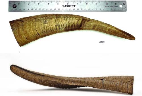 Show full view: EYS Herders Choice Chews Natural Air-Dried Goat Horn Dog Chew, 2 count slide 3 of 5