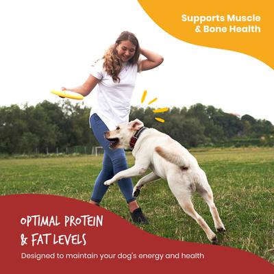 Show full view: Beefeaters Chicken with Salmon & Rice Pate Wet Dog Food, 13.2-oz can, case of 12 slide 7 of 8