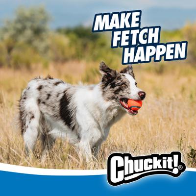 Show full view: Chuckit! Classic Ball Launcher Dog Toy, Blue slide 6 of 10