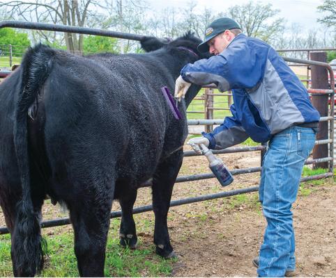 Show full view: Weaver Livestock Big Blaster Sprayer & Bottle slide 4 of 5