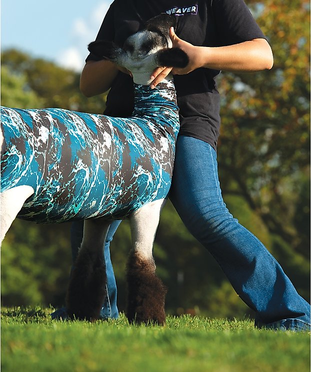 Sheep Supplies & Accessories Chewy