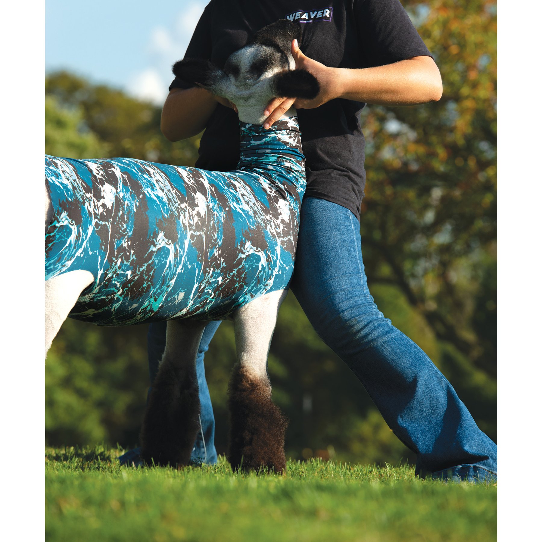 Weaver Livestock Spandex Sheep Tube, Tidal Wave, Large