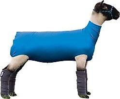 Weaver Livestock Spandex Sheep Tube, Blue, Medium