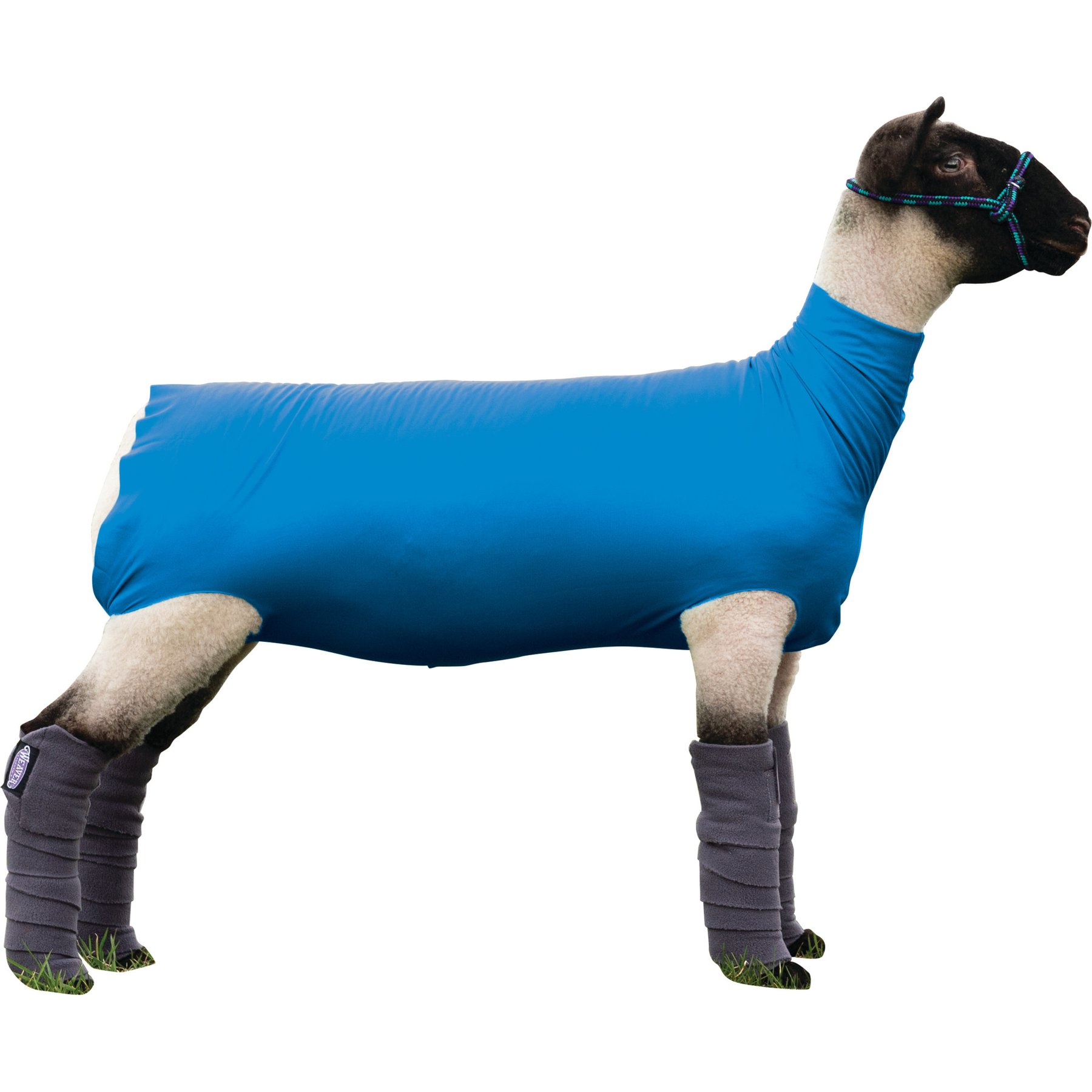 Weaver Livestock Spandex Sheep Tube, Blue, Large