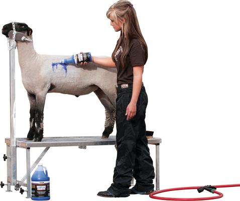 Show full view: Weaver Livestock Whitening Shampoo, 1-qt slide 2 of 3