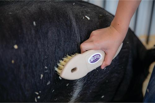 Show full view: Weaver Livestock Tampico Pig Brush slide 7 of 7
