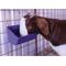 Show in main carousel: Weaver Livestock Small Animal Feeder, 3-qt, Purple slide 2 of 3