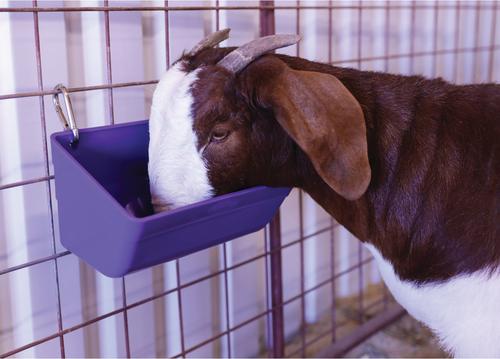 Show full view: Weaver Livestock Small Animal Feeder, 3-qt, Purple slide 2 of 3
