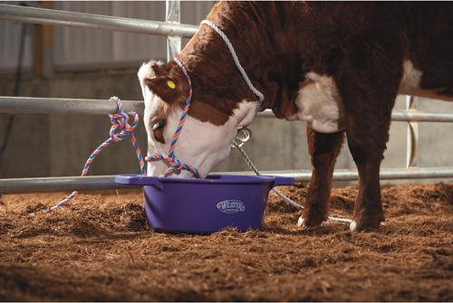 Show full view: Weaver Livestock Round Feed Pan, 22-qt, Purple slide 3 of 3