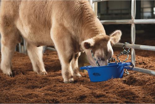 Show full view: Weaver Livestock Round Feed Pan, 22-qt, Blue slide 4 of 6