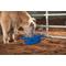 Show in main carousel: Weaver Livestock Round Feed Pan, 22-qt, Blue slide 3 of 6