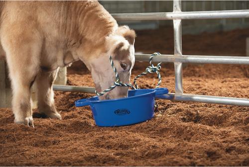 Show full view: Weaver Livestock Round Feed Pan, 22-qt, Blue slide 3 of 6