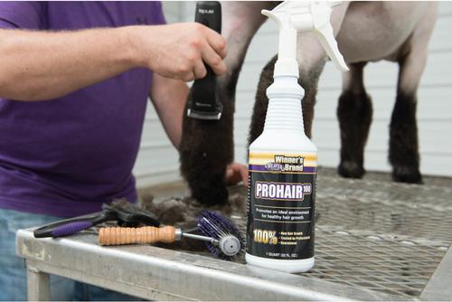 Show full view: Weaver Livestock Self Cleaning Slicker Livestock Brush slide 3 of 7