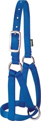 Weaver Livestock Llama Halter, Blue, Medium