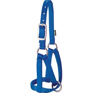 Weaver Livestock Llama Halter, Blue, Medium