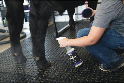 Show full view: Weaver Livestock Breakdown Brush, Purple, 4-in slide 5 of 7