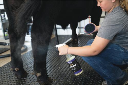 Show full view: Weaver Livestock Breakdown Brush, Purple, 4-in slide 3 of 7