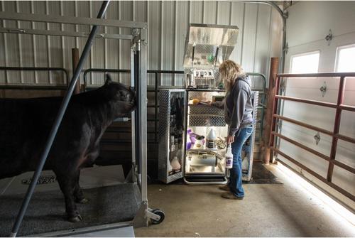 Show full view: Weaver Livestock Big Blaster Sprayer & Bottle slide 3 of 5