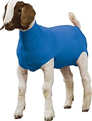 Weaver Livestock Spandex Goat Tube, Blue, Medium