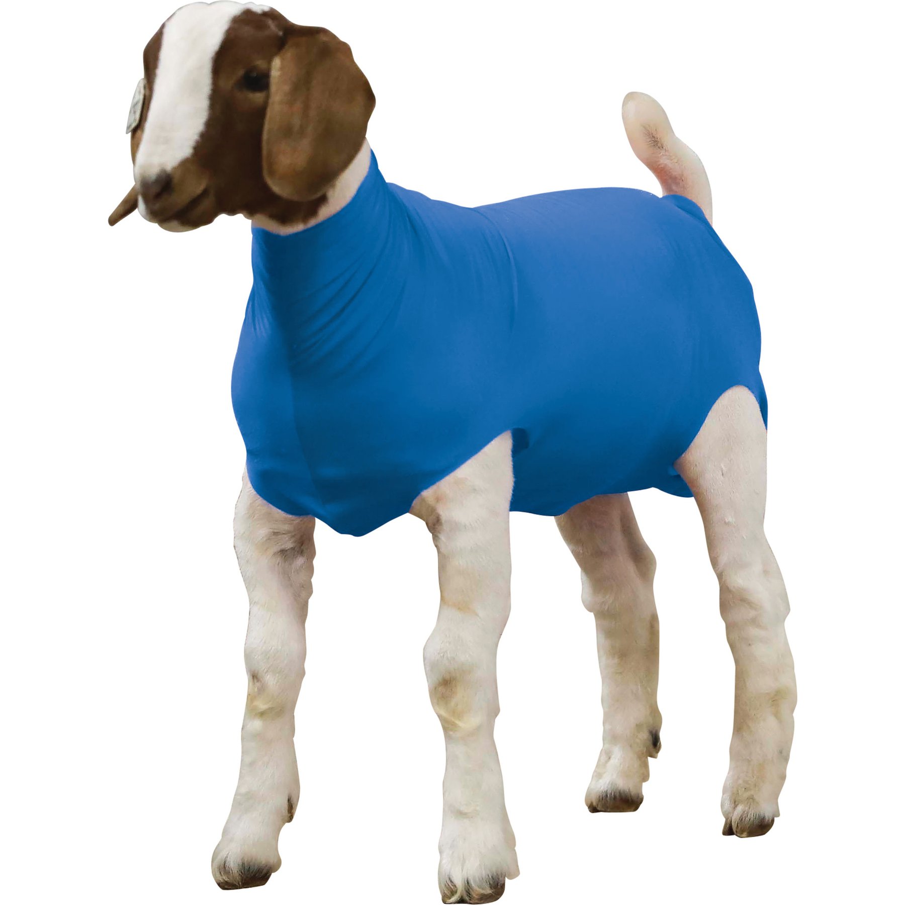 Weaver Livestock Spandex Goat Tube, Blue, Medium