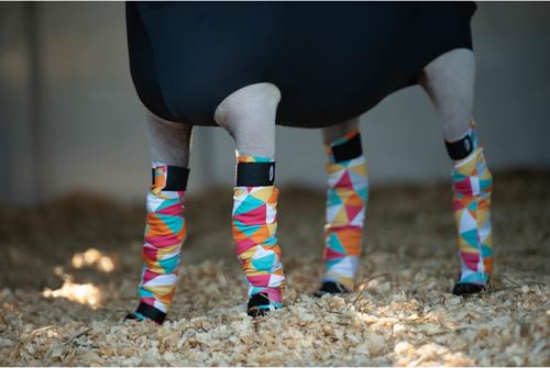 Show full view: Weaver Livestock Spandex Leg Tube, 4 count, Kaleidoscope slide 3 of 3
