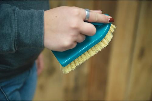 Show full view: Weaver Livestock Tampico Pig Brush with Handle, Teal slide 3 of 6