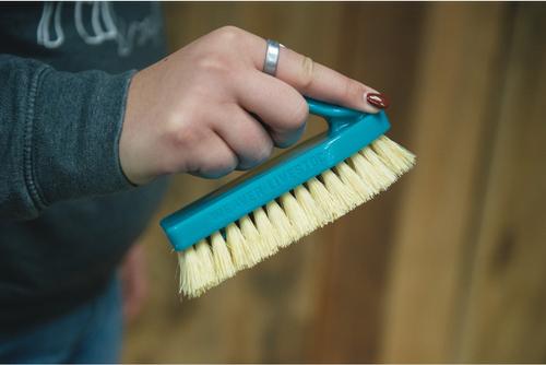 Show full view: Weaver Livestock Tampico Pig Brush with Handle, Teal slide 2 of 6