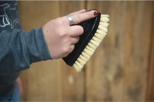 Show full view: Weaver Livestock Tampico Pig Brush with Handle, Black slide 3 of 6