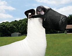 Weaver Livestock Sheep & Goat Muzzle, Black slide 2 of 2